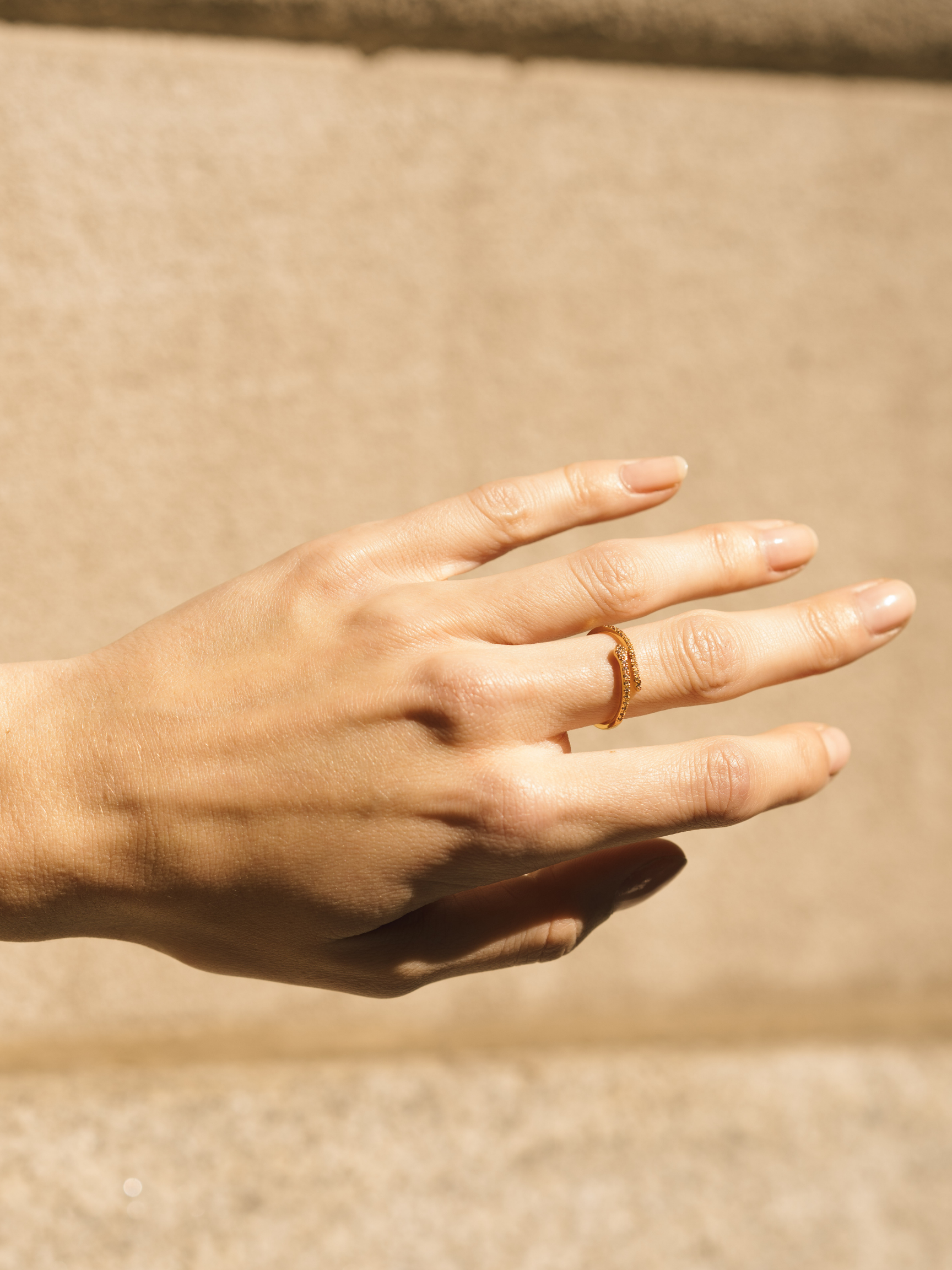 Snake Ring Set