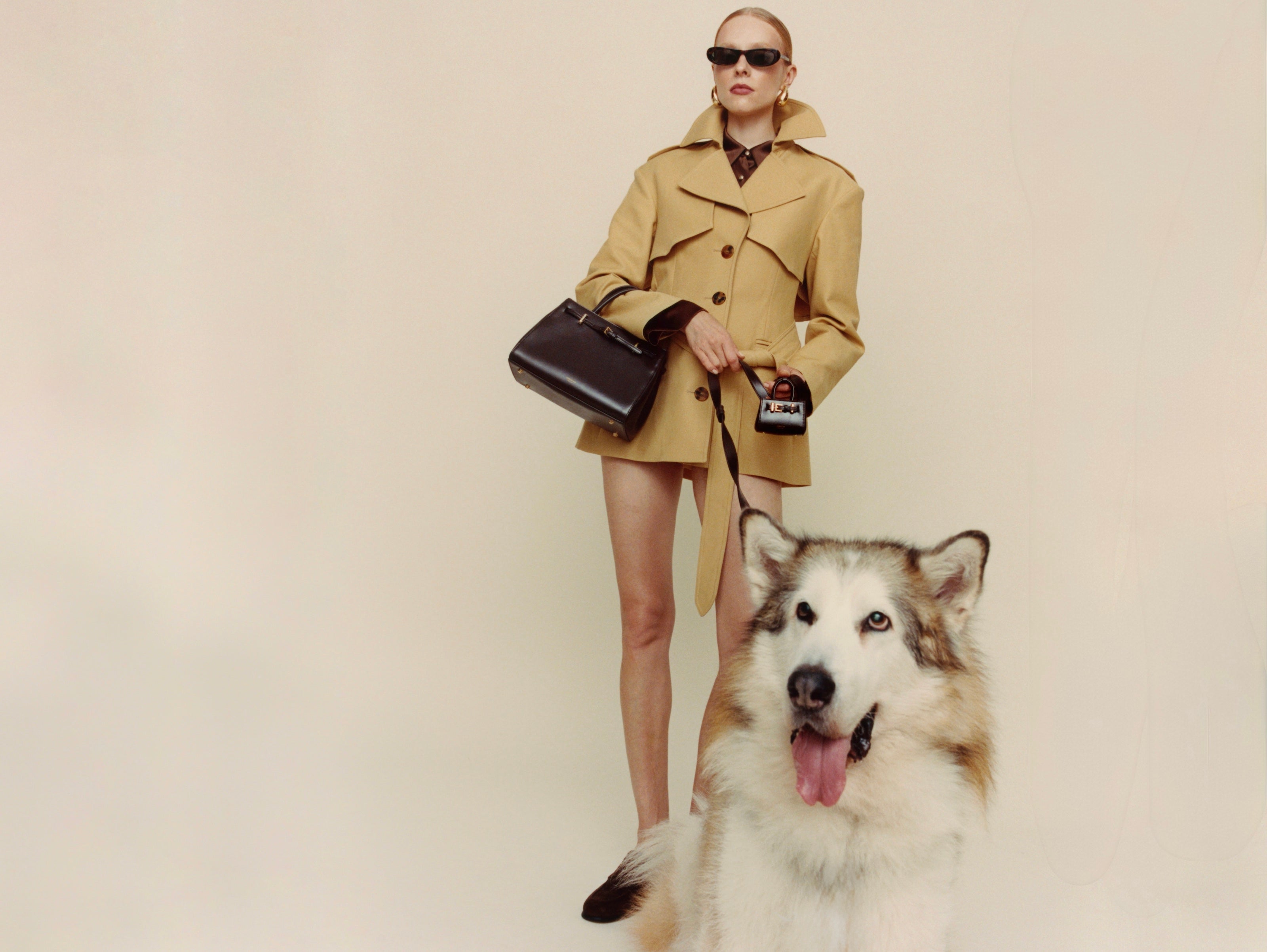 verafied handbag べラファイド　ショルダーハンドバッグ Elevate Your Look with Elegant Bags - Verafied New York