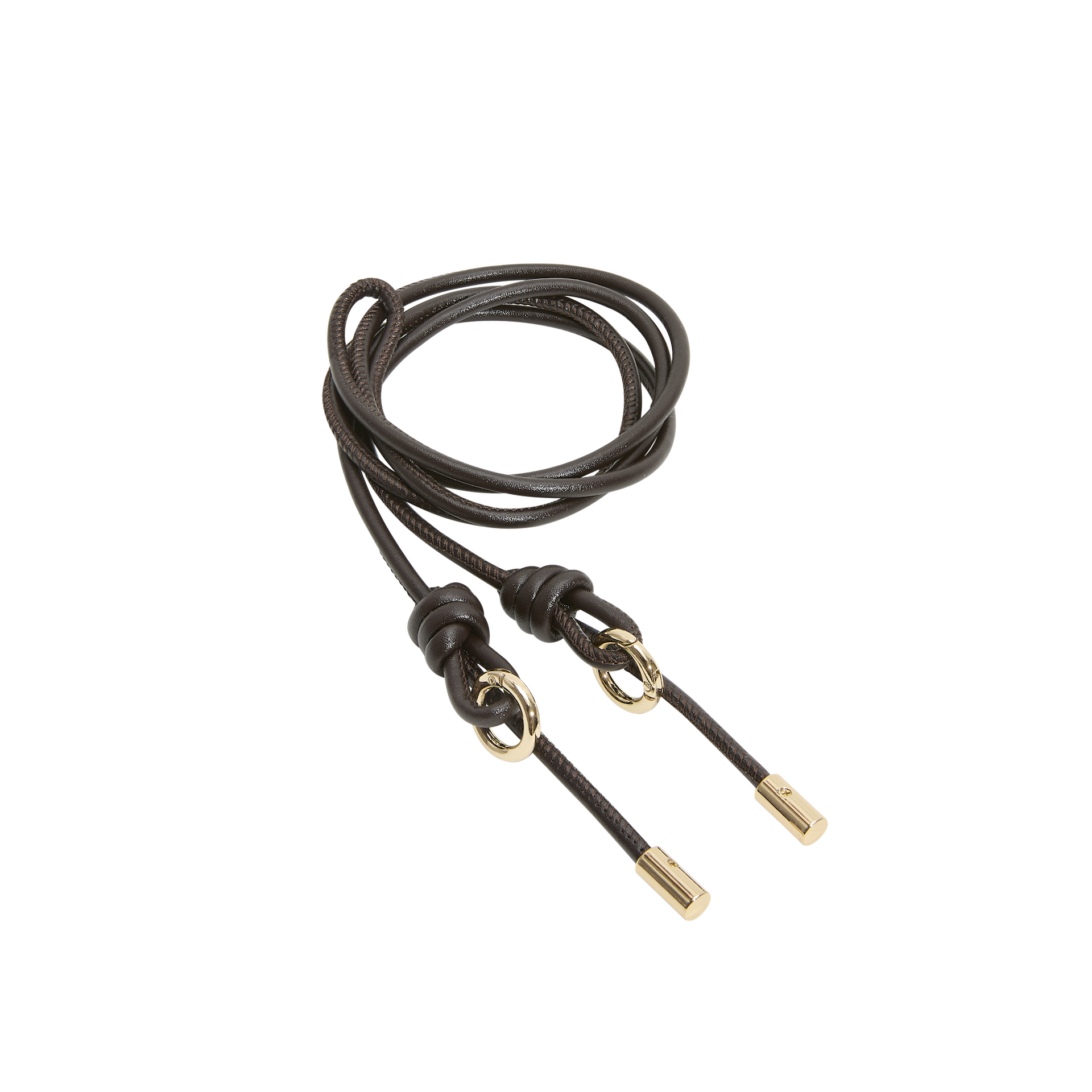 Brown leather cord with gold metal ends on a white background