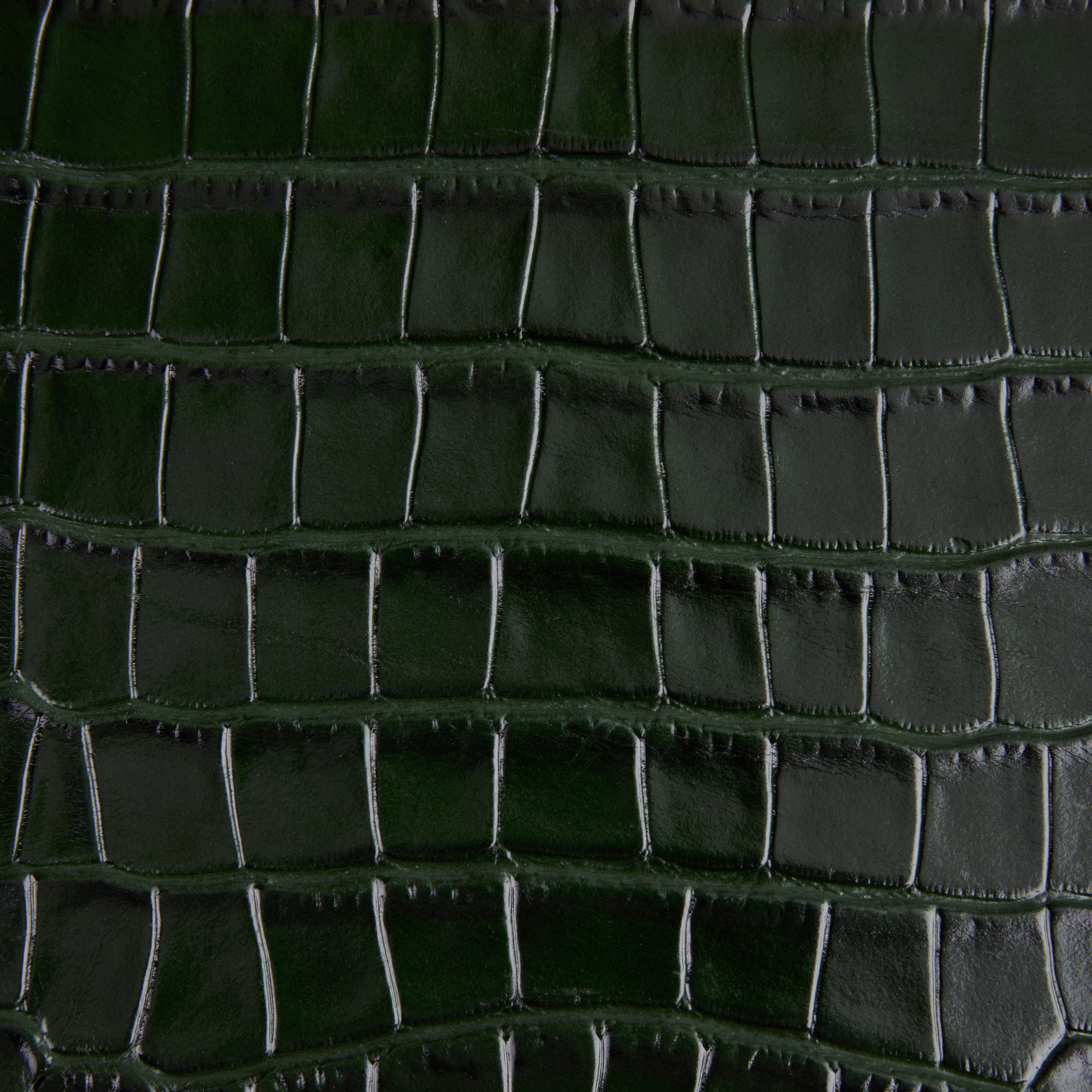 Emerald Croc Embossed Cardholder - Verafied New York