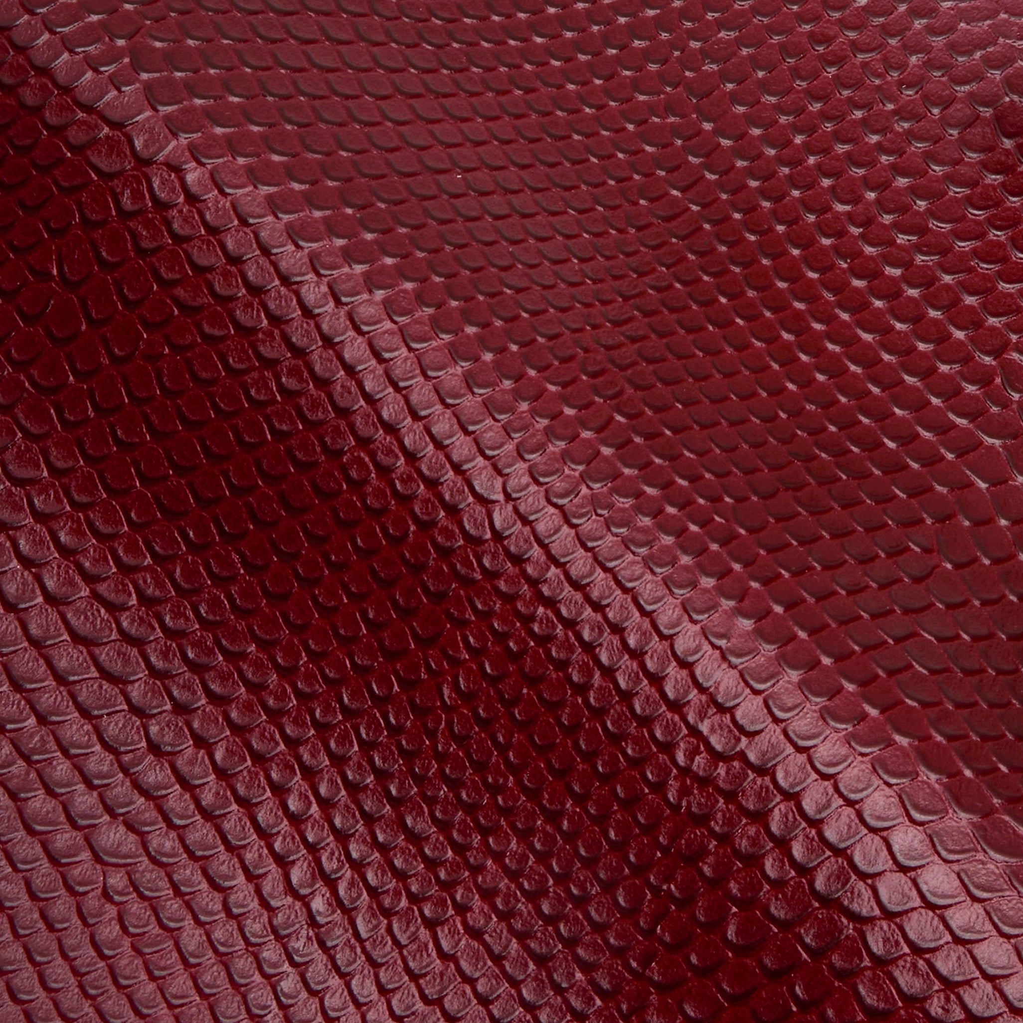 Maroon Python Café Mini Bag: Crossbody Handbag - Verafied New York