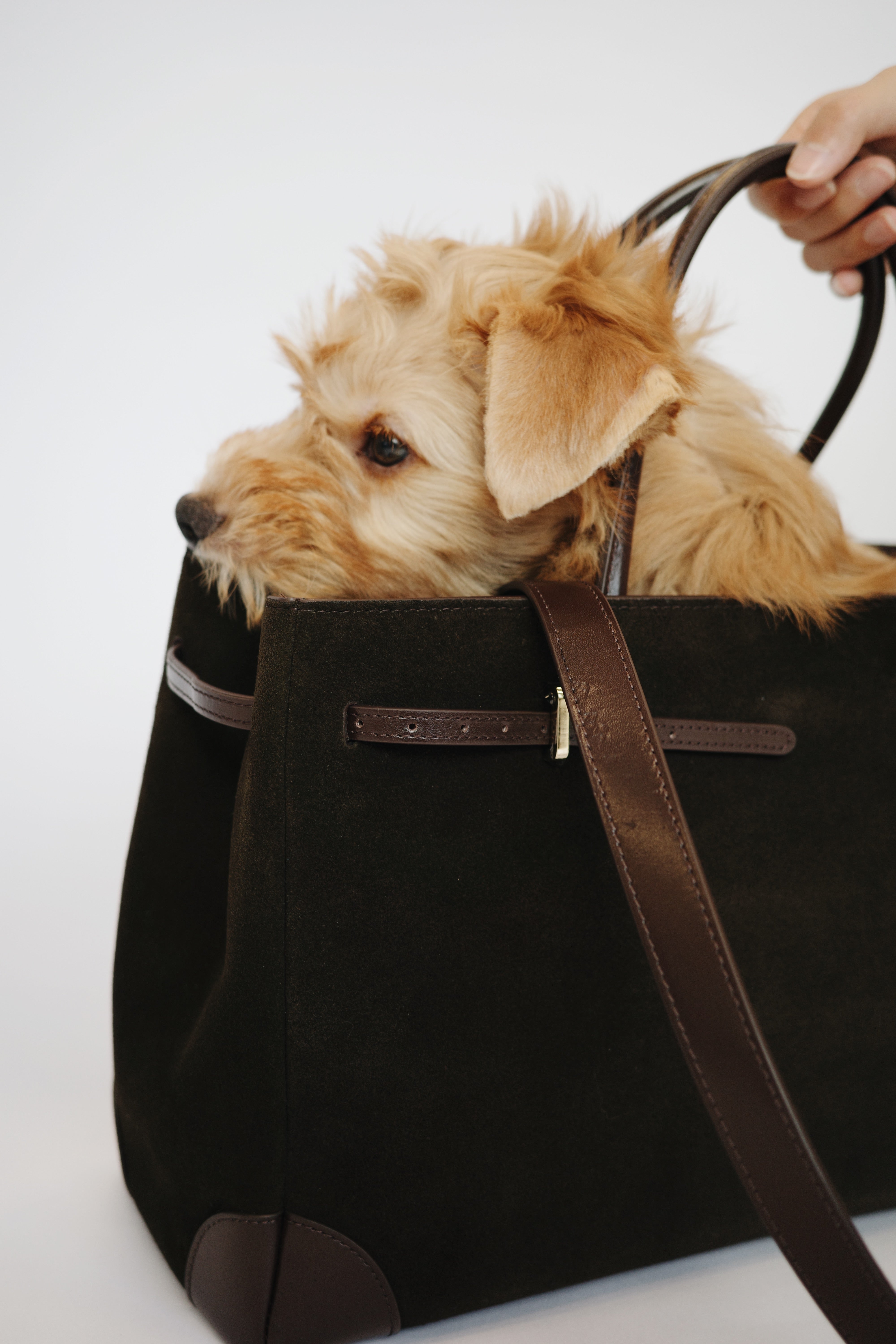 Espresso Suede Book Tote 33 (Pre-Order Only. Will Ship Late Jan.)