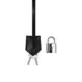 Silver VERAFIED Lock Set